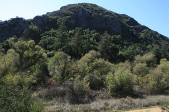 Enlarge photo 31