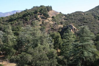 Enlarge photo 32