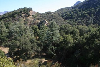 Enlarge photo 33