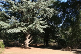 Enlarge photo 35