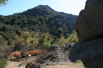 Enlarge photo 36