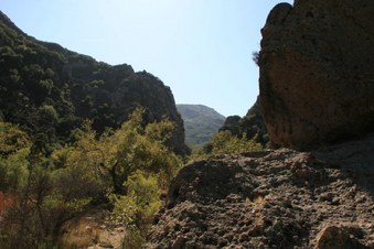 Enlarge photo 38