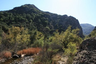 Enlarge photo 39