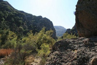 Enlarge photo 40