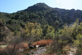 Enlarge photo 41