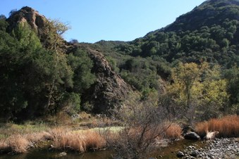 Enlarge photo 42