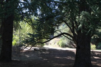 Enlarge photo 43