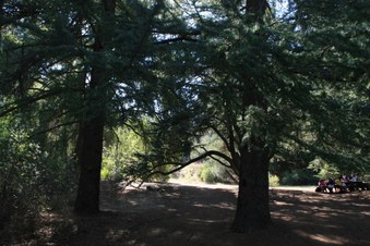 Enlarge photo 44