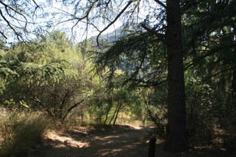 Enlarge photo 45