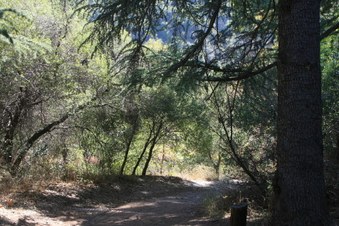Enlarge photo 46