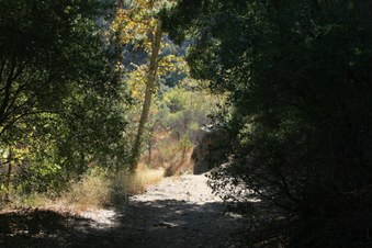 Enlarge photo 47