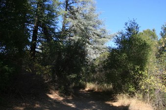 Enlarge photo 48