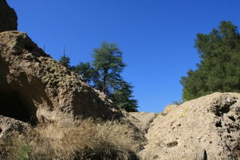 Enlarge photo 49