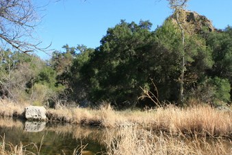 Enlarge photo 50