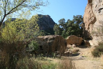 Enlarge photo 51
