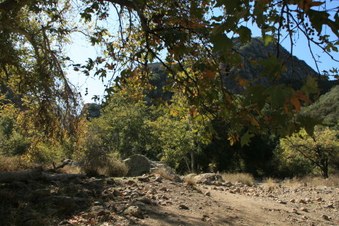 Enlarge photo 53