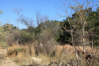 Enlarge photo 54