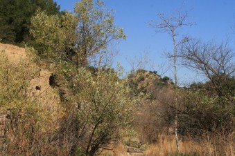 Enlarge photo 55
