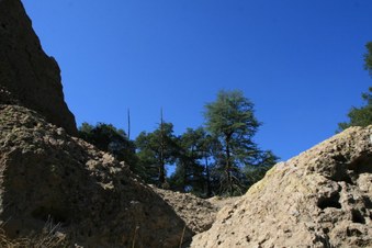 Enlarge photo 56