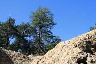 Enlarge photo 57