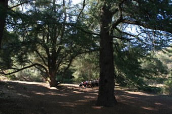 Enlarge photo 58