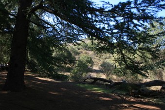 Enlarge photo 59