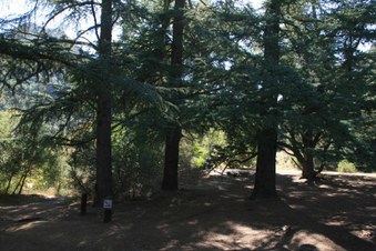 Enlarge photo 62