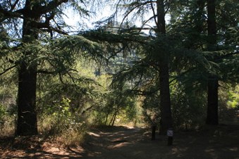 Enlarge photo 63