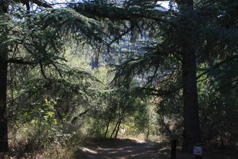 Enlarge photo 64