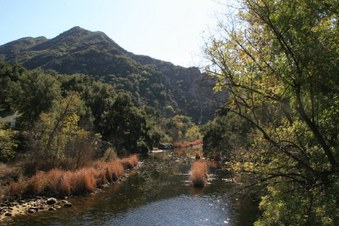 Enlarge photo 65