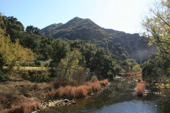 Enlarge photo 66