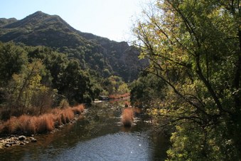 Enlarge photo 67