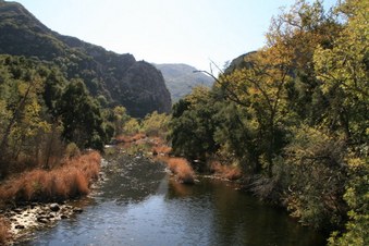 Enlarge photo 68