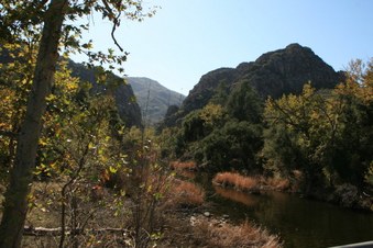 Enlarge photo 69
