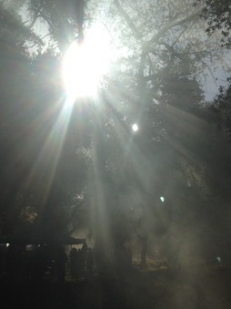 Enlarge photo 27