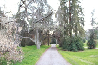 Enlarge photo 2