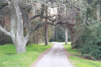Enlarge photo 3