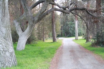 Enlarge photo 4