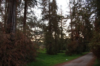 Enlarge photo 10