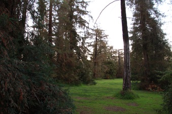 Enlarge photo 11