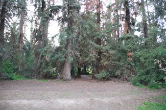 Enlarge photo 13