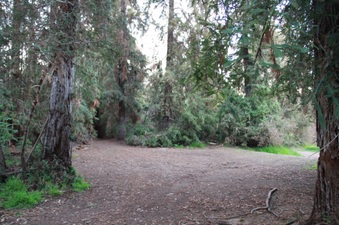 Enlarge photo 14