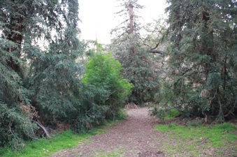 Enlarge photo 15