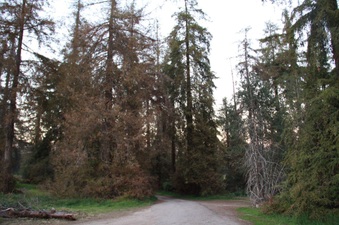 Enlarge photo 17