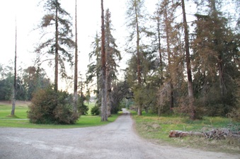 Enlarge photo 18