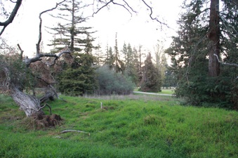 Enlarge photo 19