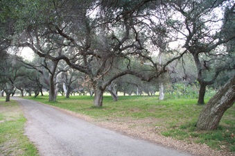 Enlarge photo 20