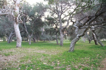 Enlarge photo 21