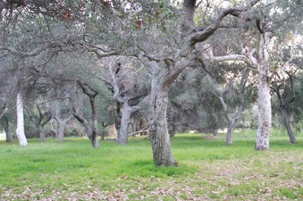 Enlarge photo 22