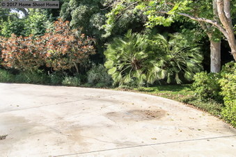 Enlarge photo 39